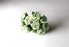  12 stk.i et bundt, kan nemt deles. Skum blomster. Farven er Grøn